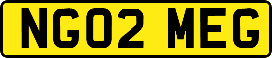 NG02MEG