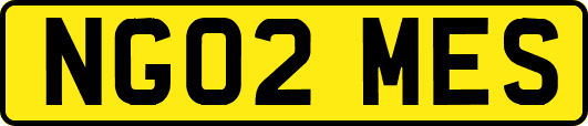 NG02MES