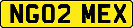 NG02MEX
