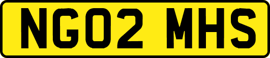 NG02MHS