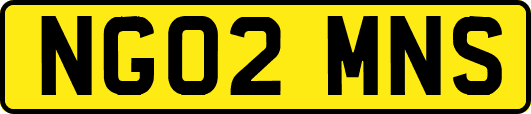 NG02MNS