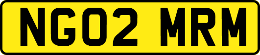 NG02MRM