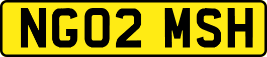 NG02MSH