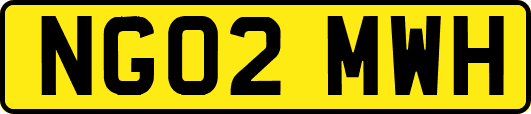 NG02MWH