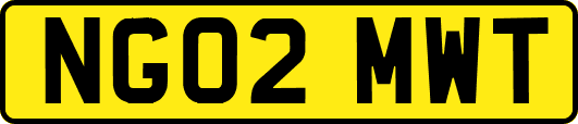 NG02MWT