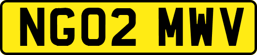 NG02MWV