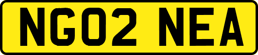 NG02NEA