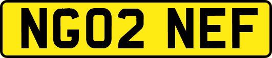 NG02NEF