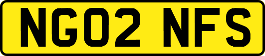 NG02NFS