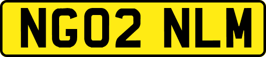 NG02NLM