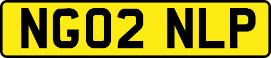 NG02NLP