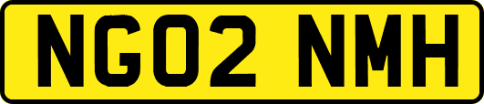NG02NMH
