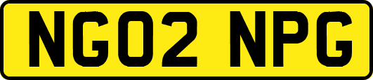 NG02NPG