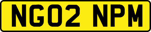 NG02NPM