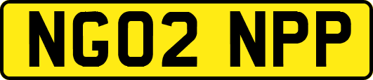 NG02NPP