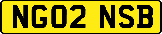 NG02NSB