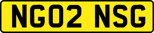 NG02NSG