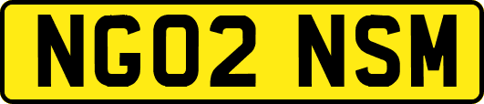 NG02NSM