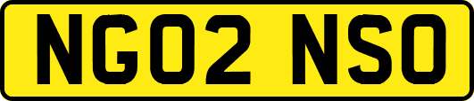 NG02NSO