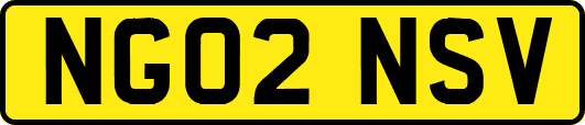 NG02NSV