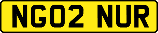 NG02NUR