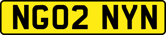 NG02NYN