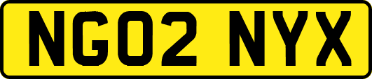 NG02NYX
