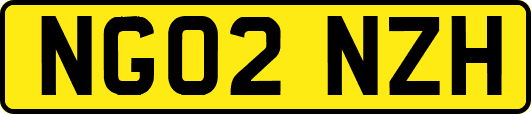 NG02NZH