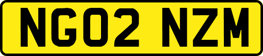 NG02NZM
