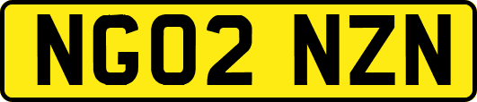 NG02NZN