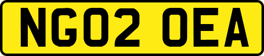 NG02OEA