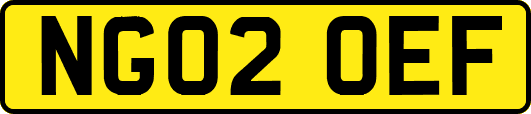 NG02OEF