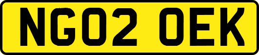 NG02OEK