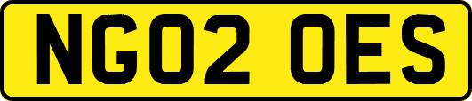 NG02OES