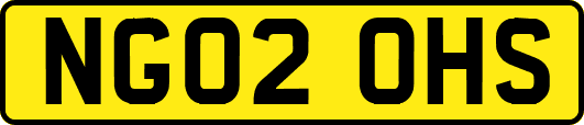NG02OHS