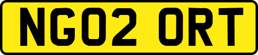 NG02ORT