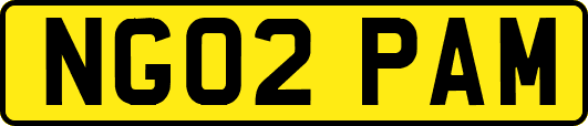 NG02PAM