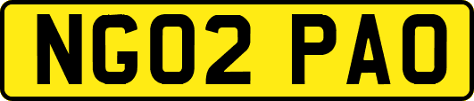 NG02PAO