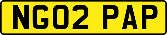 NG02PAP