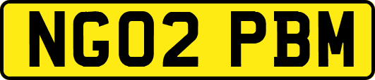 NG02PBM