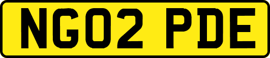 NG02PDE