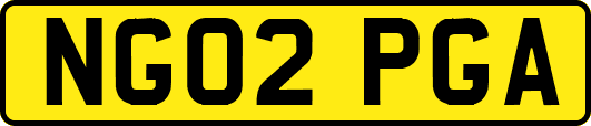 NG02PGA