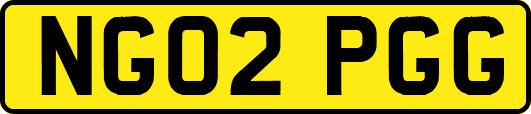 NG02PGG