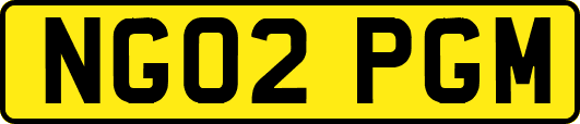 NG02PGM