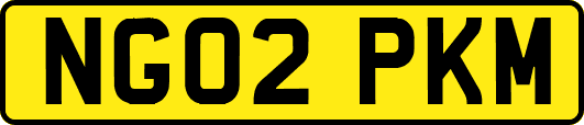 NG02PKM