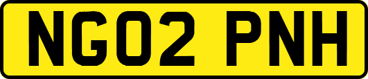 NG02PNH