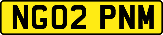 NG02PNM