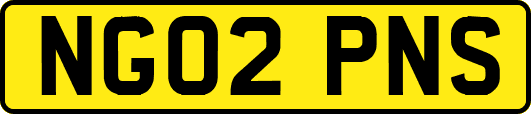 NG02PNS