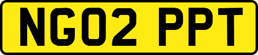 NG02PPT