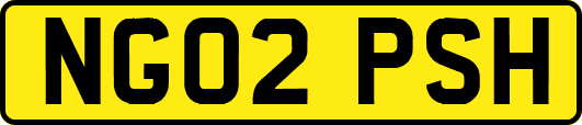 NG02PSH
